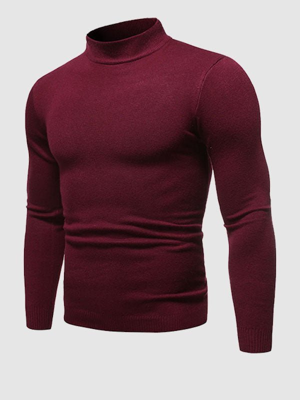 Alexander | Turtleneck Sweater for Men in Slim-Fit Style