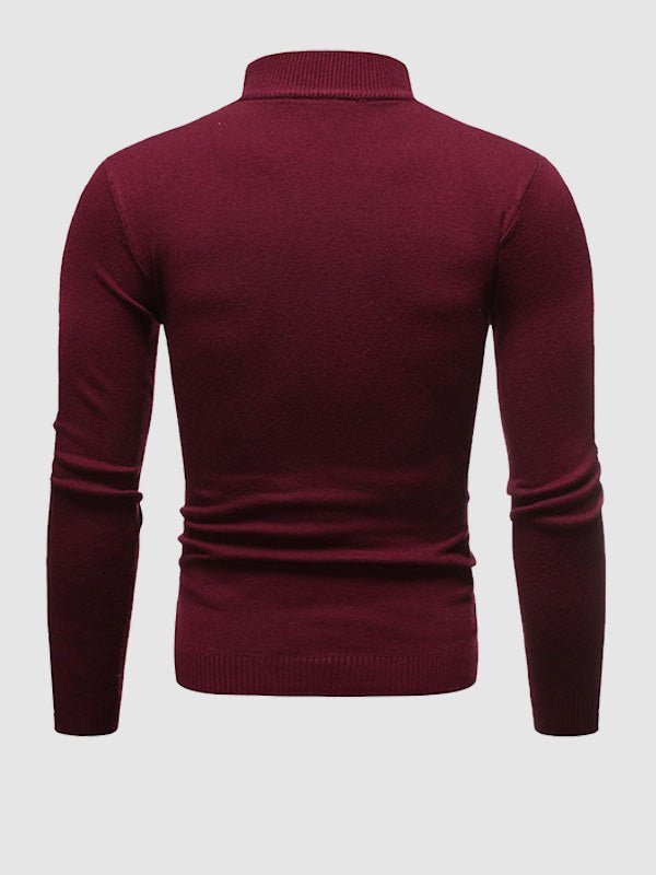 Alexander | Turtleneck Sweater for Men in Slim-Fit Style